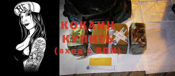 индика Сосновоборск