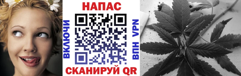 Бошки Шишки Amnesia  Купить закладки  Сусуман 